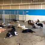 nap-time