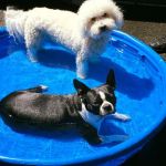 pool-time