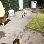 maggie-on-the-move