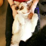 noel-cuddles