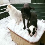 snow-day-play-day