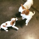 oliver-and-maggie