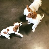 oliver-and-maggie