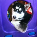 luka