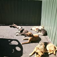 sun-bathing